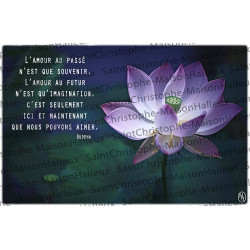 Carte postale Proverbe - aimantée