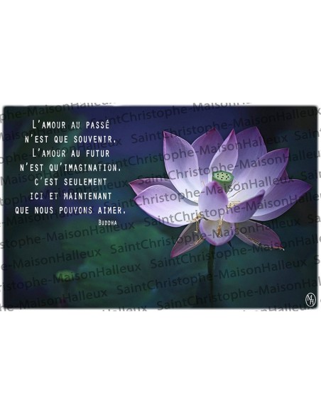 Sprichwort Postkarte - magnetisch