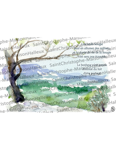 Carte postale Proverbe - aimantée