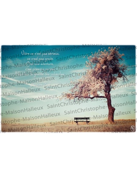 Sprichwort Postkarte - magnetisch