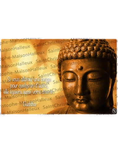 Carte postale Proverbe - aimantée