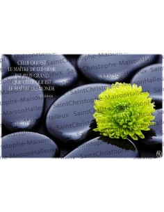 Proverb postcard - magnetic