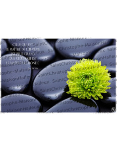 Sprichwort Postkarte - magnetisch