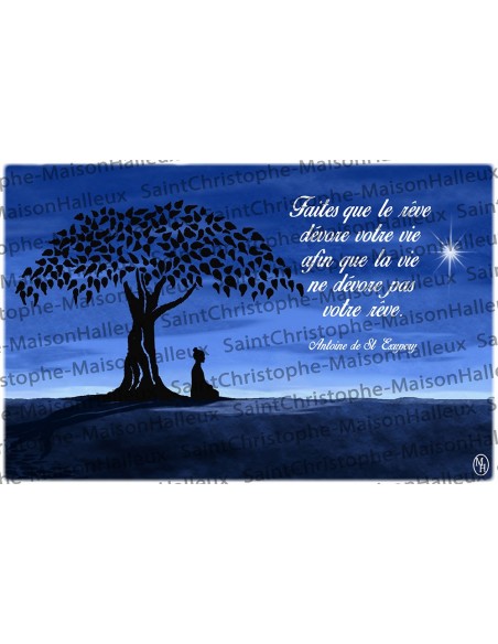 Carte postale Proverbe - aimantée