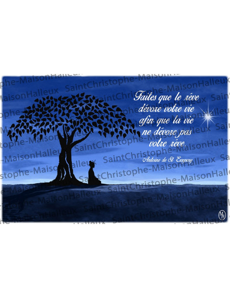 Proverb postcard - magnetic