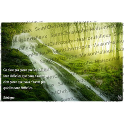 Proverbio cartolina - magnetica
