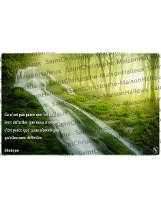 Spreekwoord ansichtkaart - magnetisch