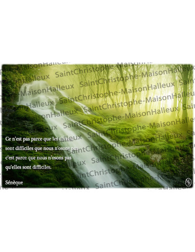 Proverb postcard - magnetic