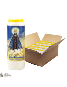 Velas de Novena a la Virgen María de Aparecida - 20 piezas