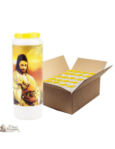 Novena kaarsen Lam Godsgebed - 20 stuks