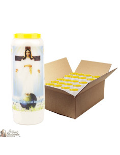 Velas de Novena Nuestra Señora de Pellevoisin - 20 piezas