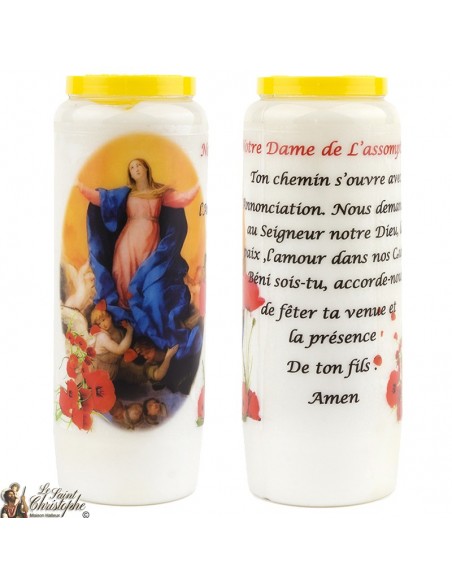 Velas de Novena de buena entrega - 20 piezas