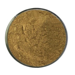 Lotus Poeder Wierook - 50 gr