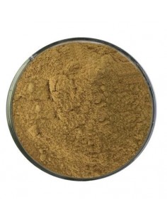 Lotuspulver-Räucherstäbchen - 50 gr