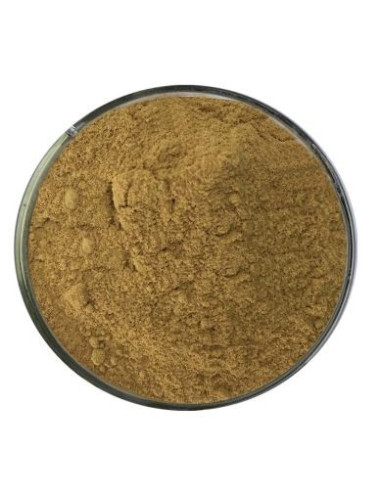 Lotuspulver-Räucherstäbchen - 50 gr