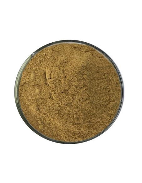 Encens Poudre de Lotus - 50 gr