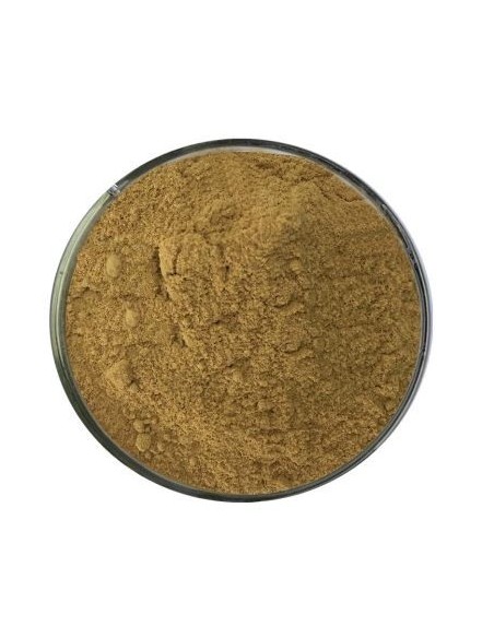 Lotus Powder Incense - 50 gr