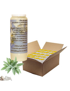 Novena candle for deceased sage scent - Flowers - box 20 pieces
