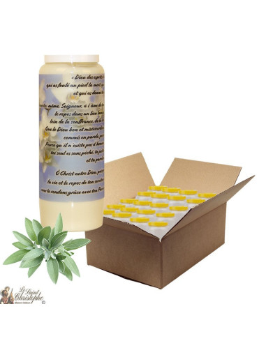 Novenkerze für den Duft des verstorbenen Salbei - Blumen - Schachtel 20 Stück