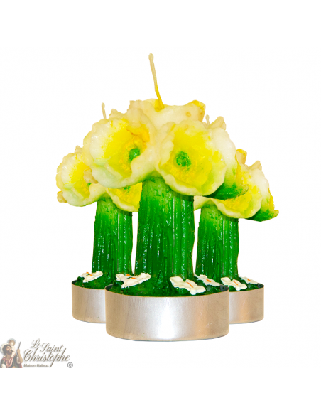 Vela de narcisos - 3 piezas