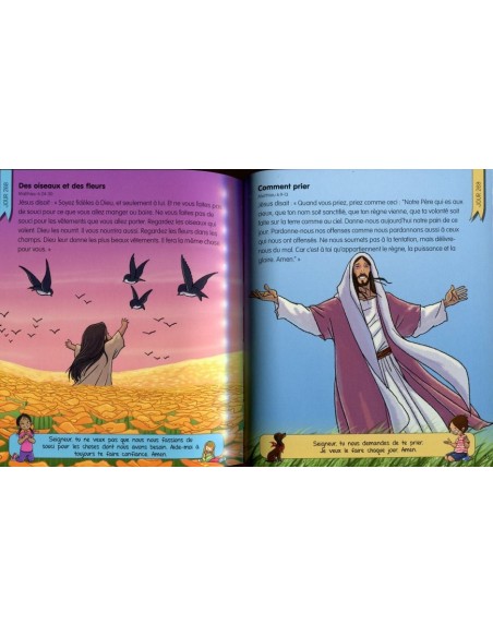 Meine Bibel für jeden Tag