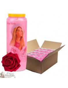 Novena Candles Virgin Mary rose scented - 1 - 20 pieces