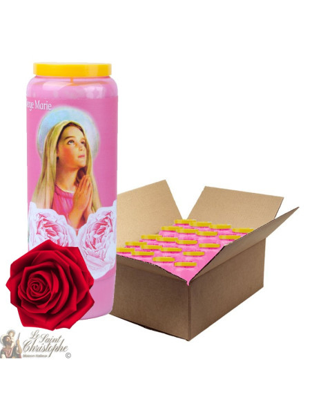 Bougies de Neuvaine Vierge Marie parfumée à la rose - 2 - 20 pièces