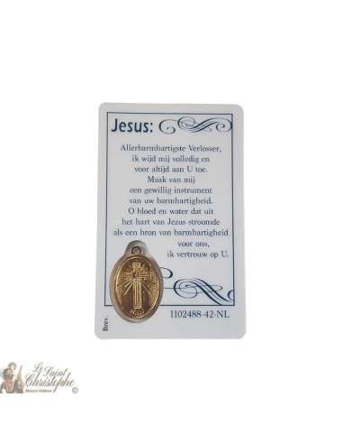 Tarjeta medalla de la oración de Cristo Misericordioso