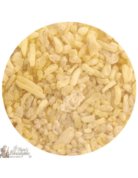 Sandarac Wierook - 1 kg