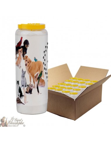 Novena candle for animals 1 - box 20 pieces