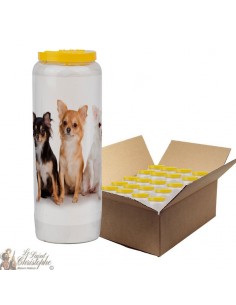 Vela de novena para animales 2 - caja 20 piezas