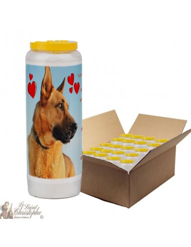 Novena candle for animals 3 - box 20 pieces