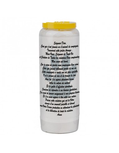 Vela de novena para los animales 5