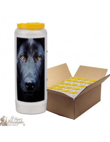 Novena candle for animals 5 - box 20 pieces