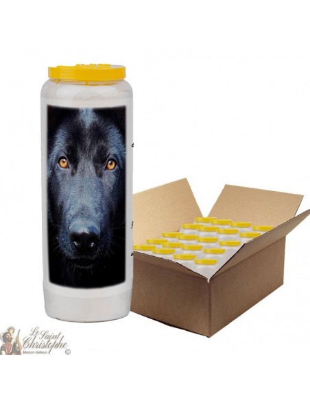 Bougie de neuvaine pour animaux 5 - carton 20 pièces