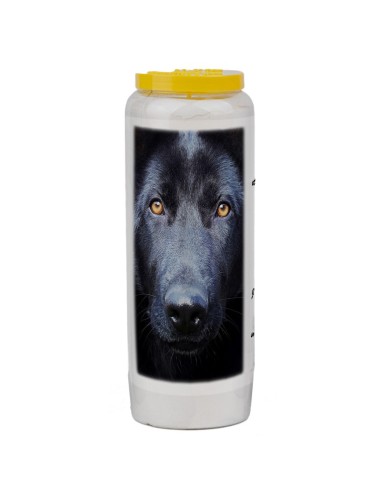 Novena candle for animals 5 - box 20 pieces