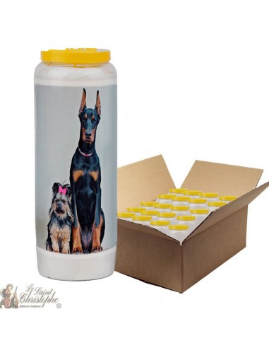 Novena candle for animals 6 - box 20 pieces