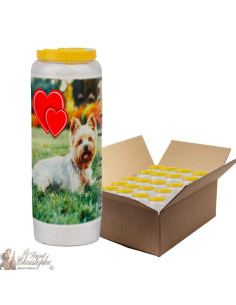 Novena-kaars voor dieren 7 - doos 20 stuks