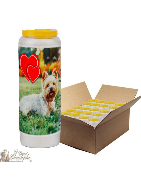 Novena candle for animals 7 - box 20 pieces