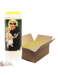 Novena candle to Saint Anthony of Padua - 20 pieces