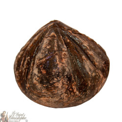 Dragon's Blood Incense - 20 gr