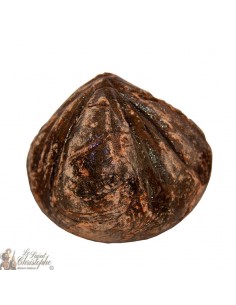 Encens naturel Sang de Dragon - 20 gr