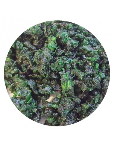 Encens du chakra émeraude - 50 gr