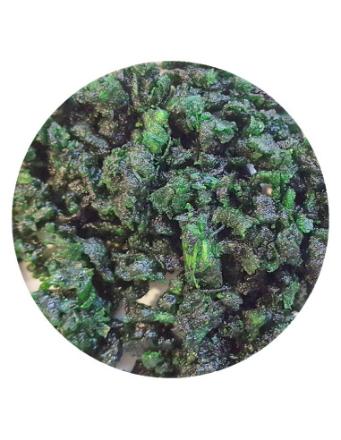 Incienso Chakra Esmeralda - 50 gr