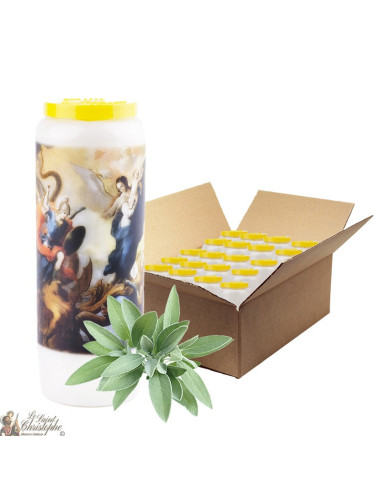 Candele di novena per la purificazione con salvia - Scatola da 20 pezzi