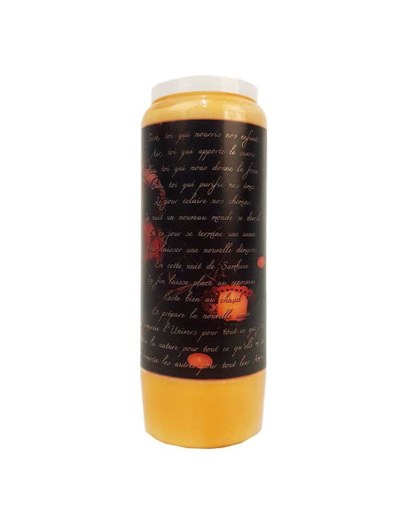 Bougies de neuvaine orange Halloween - Samhain citrouilles 2 - carton 20 pcs