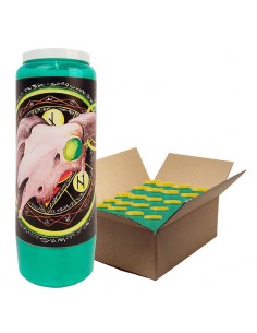 Halloween grüne Novenakerzen - Totenkopf - Karton 20 Stück