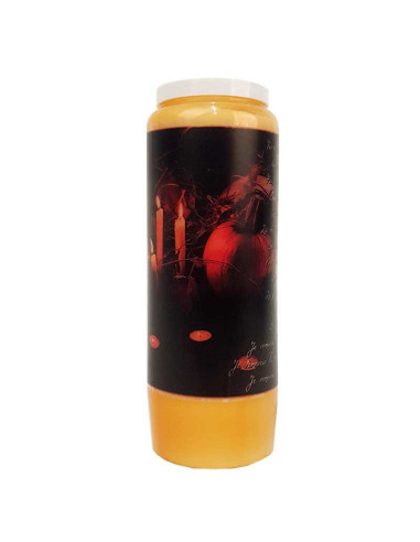 Novena Kerzen Orange-Zimt duftend Halloween Samhain 2 Karton 20 Stück