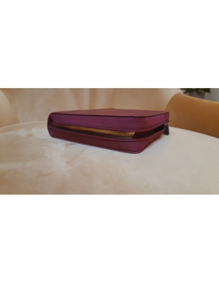 La Bible Nouvelle Français courant - similpelle, custodia, con DC