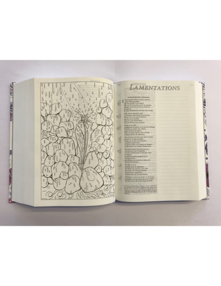 Bible Segond 21 Journal de bord motifs feuilles